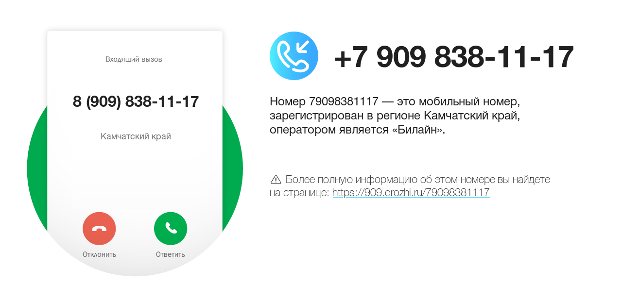 Номер телефона 8 (909) 838-11-17